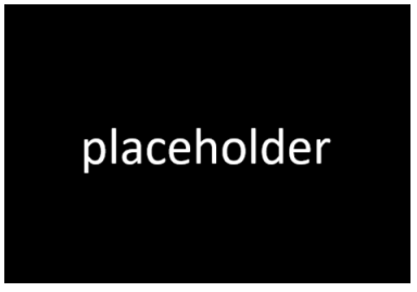 description of project